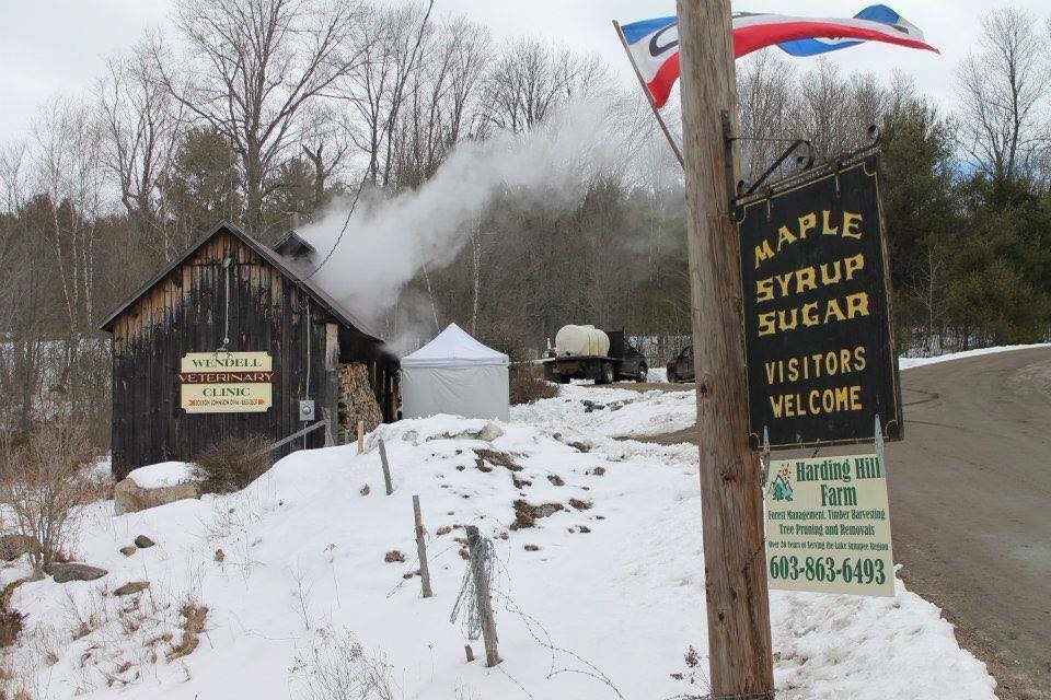 harding-hill-farm-maplesyrupsugar-nh